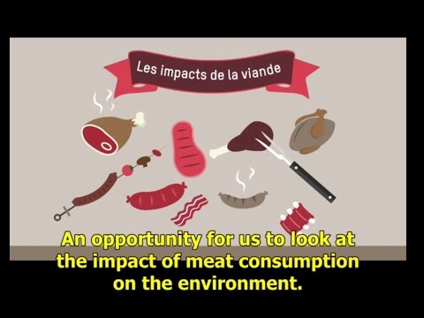 4 minutes to understand the real impact of meat consumption on the environment [Eng subs]
