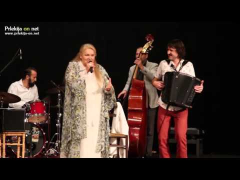 Rihard Zadravec - Riki, Dolga pot, 30 let s harmoniko