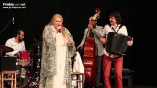 Rihard Zadravec - Riki, Dolga pot, 30 let s harmoniko