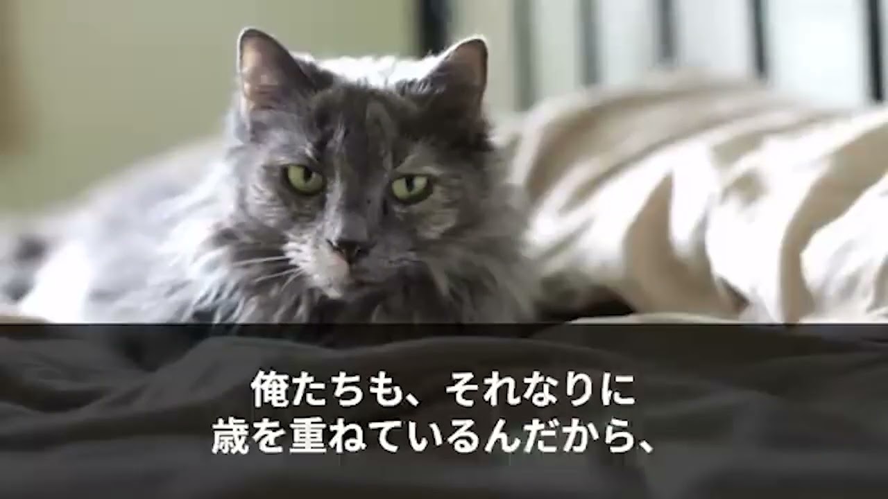 感動総集編CF 1471