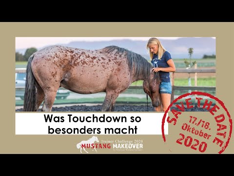 Mustang Makeover 2020 - Team Lara ( TAG 5172) - Was macht Touchdown so besonders