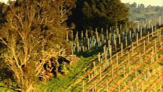 preview picture of video 'Stuart MacGill wines in the Adelaide Hills'