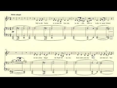 Der Doppelgänger - Schubert - accompaniment in G minor