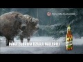 T N Blok Reklamowy 31 12 2016