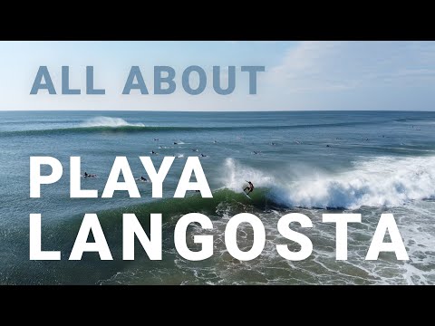 Local's Surf Guide: Discover Playa Langosta