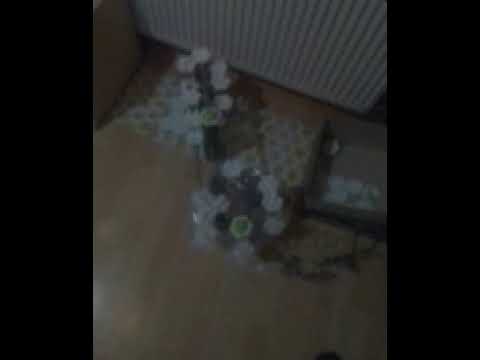 meine neue Bahn ist fast fertig nur noch ein paar Kleinigkeiten die geändert werden müssen 😎😎😎😎😎😎😎😎😎