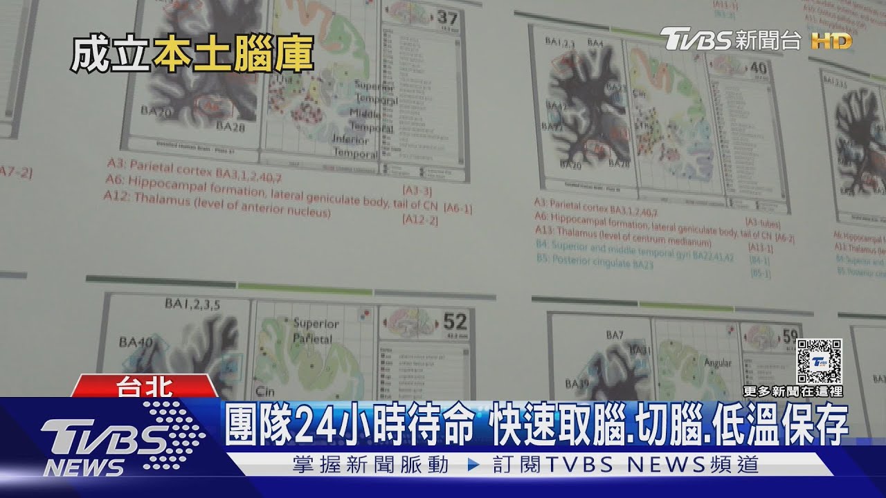 解碼失智症、台灣腦庫成立　捐贈腦組織、助漸凍症、神經罕病、研發藥物