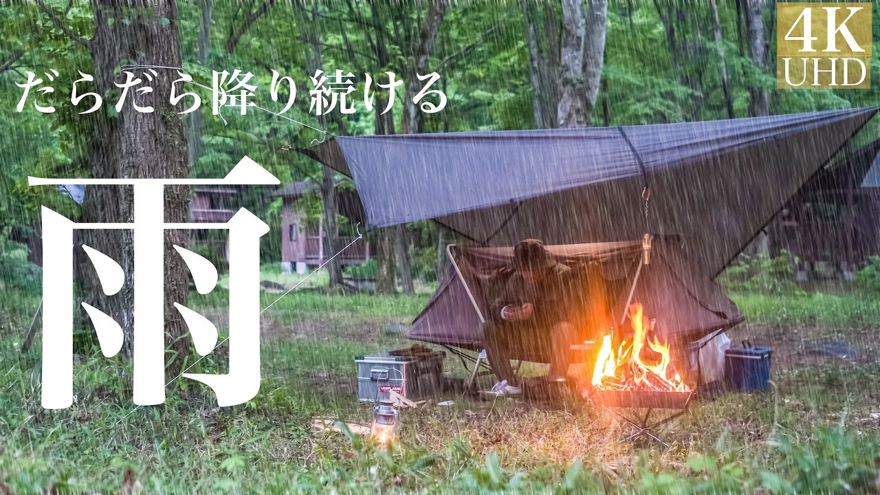 雨の森での静寂なソロキャンプASMR、心地よい眠りへ誘います。