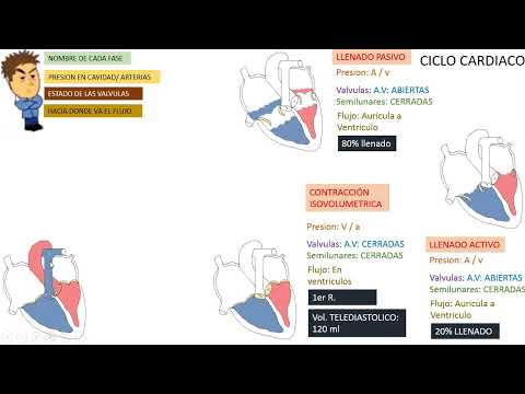 PHYSIOLOGY Class 10: CARDIAC CYCLE