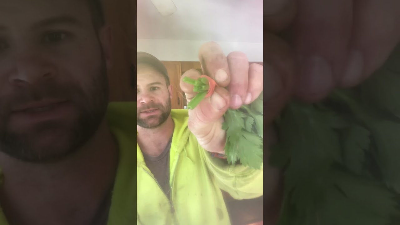 2024 winter csa week 2