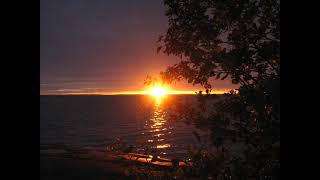 Sophie Zelmani - Life