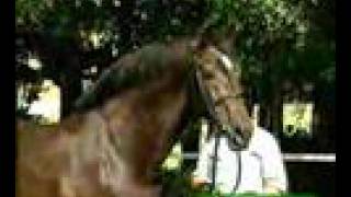 Video von Landgraf I
