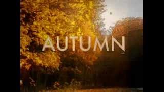 Beegie Adair ●☾ °☆ ¸  Autumn Leaves