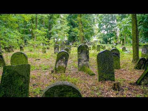 Cmentarz żydowski w Warszawie - o historii i tradycjii