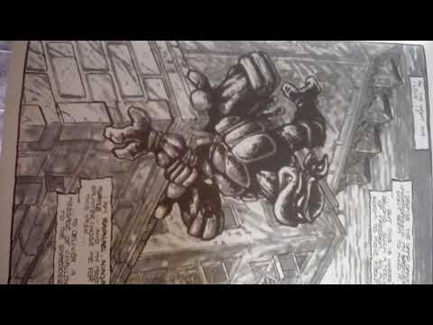 GB's Shelf Teenage Mutant Ninja Turtles The Ultimate Collection vol 1