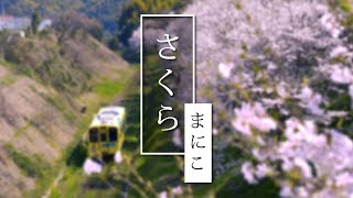 「さくら」森山直太朗  (Cover by まにこ) ♫ Railway Under Cherry Blossoms ♫ Kanji•Romaji•Engsub•Vietsub