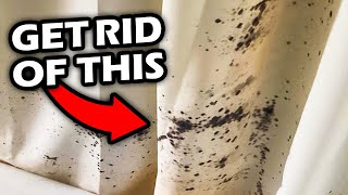How To EASILY Prevent Mold On A Shower Curtain