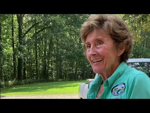 Potlatch Cook's Lake Nature Center hummingbirds