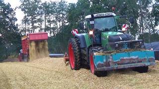 2026 Oude Lashof corn silage