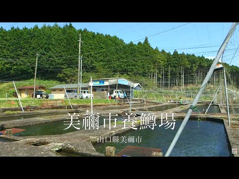 弁天池＋虹鱒魚農場　繁體中文