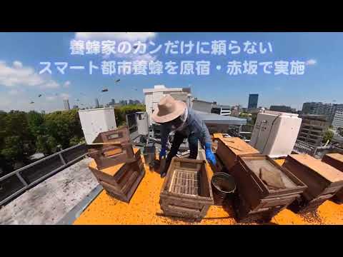 商学科 スマート都市養蜂システム
