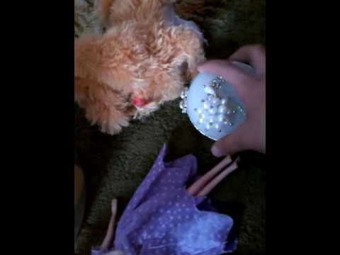 باربي في بيت الاحلام الحلقة 2 الجزء الثاني ولاخير