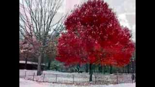 Download lagu My Gift To You - Alexander O'Neal mp3