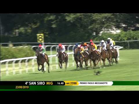 2019.06.23 Premio Paolo Mezzanotte (ITA) - Shailene