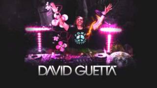 David Guetta feat. RaVaughn Brown - Love Machine | 2011