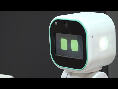 Vidéo YouTube - 6ZHSI6mGLtU