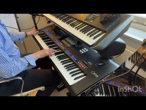 The Shadows - Theme For Young Lovers - Genos Abbe