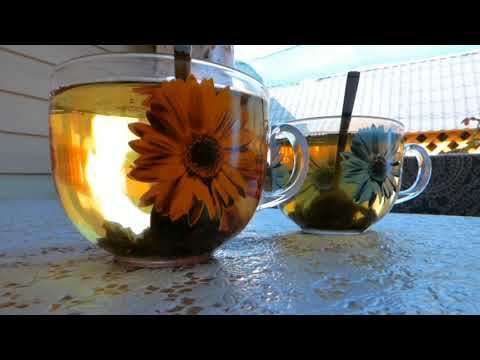 Relaxing video|Nature |