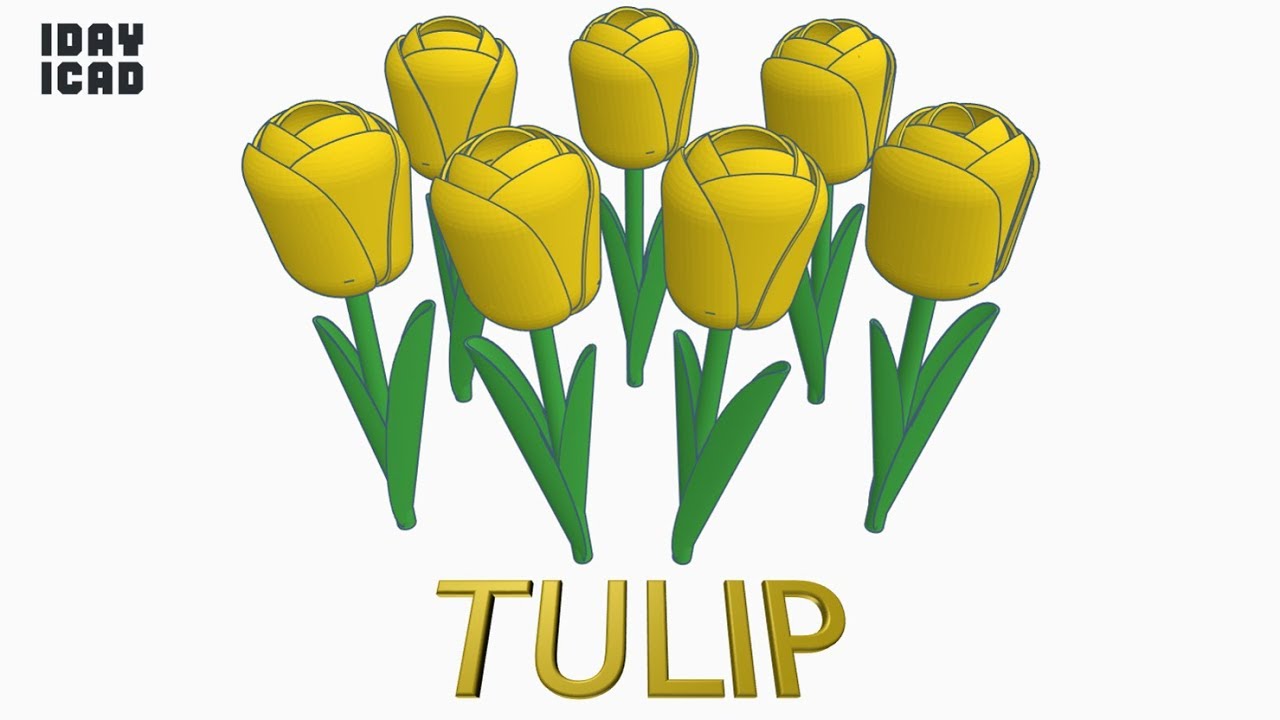 [1DAY_1CAD] TULIP (Tinkercad : Know-how / Style / Education)