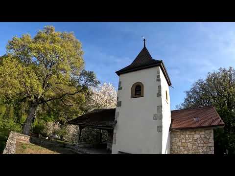 Rebenweg Höheweg Bielersee Twannbachschlucht - Nice Trail above Bielersee Lake of Bienne