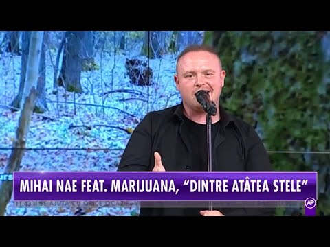 Mihai Nae feat. Marijuana - Dintre Atatea Stele @AntenaStarsOficial (ShowBiz Report)​