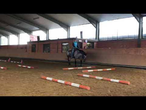 2020.01.18 Trailkurs