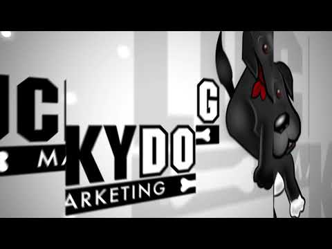 Lucky Dog Marketing video.