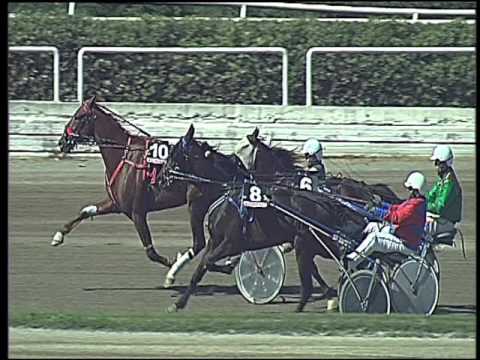 Trotto 15/04/2016 - 2° Corsa