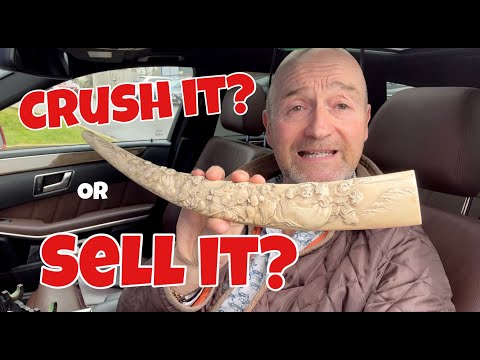 I found an Ivory Tusk in clients house / I’m going to sell it / Should it be legal?