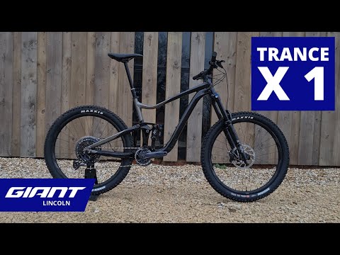 2022 Giant Trance X 1 | Giant Lincoln