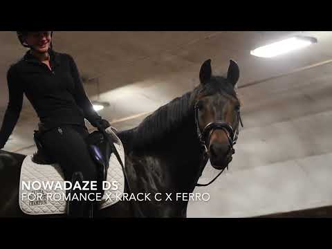 NOWADAZE DS (For Romance x Krack C x Ferro)