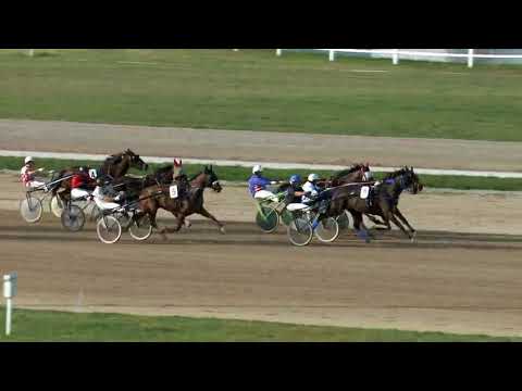 2018.04.14. 8 futam Ügető