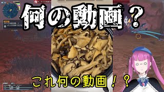 【PSO2NGS】寄生地雷がやってきた！Part33【ゆっくり実況】