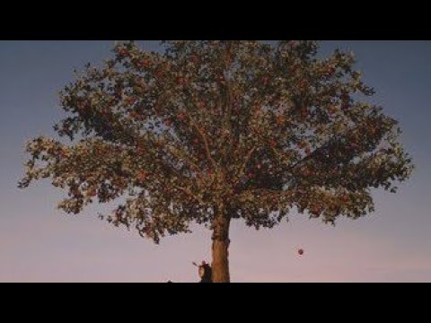 Slowthai - Mazza (feat.A$ap Rocky) [Official Music Video]