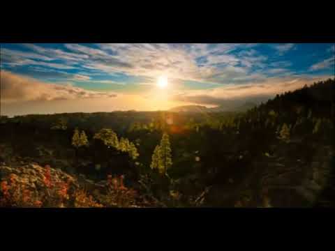 Ronio (ft.Yung Emson)-Wielki lot....