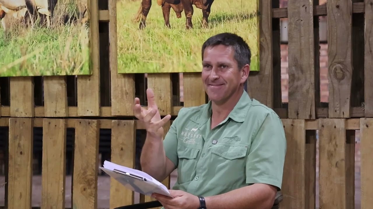 Lot 79 | HS23-649 | Bespreking