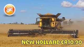 Harvest 2025 | New Holland CR10.90 combine & MacDon FD241 header