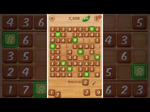 Sudoku Cafe Video