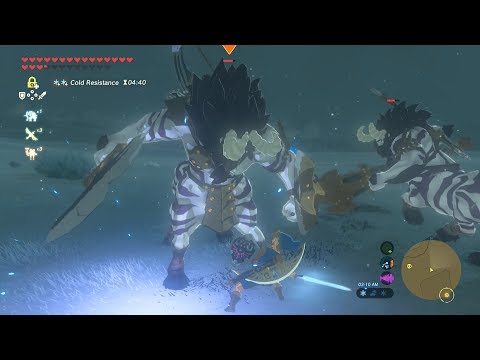 Fully Powered Master Sword DESTROYS Lynel Brothers - Zelda Breath of the Wild