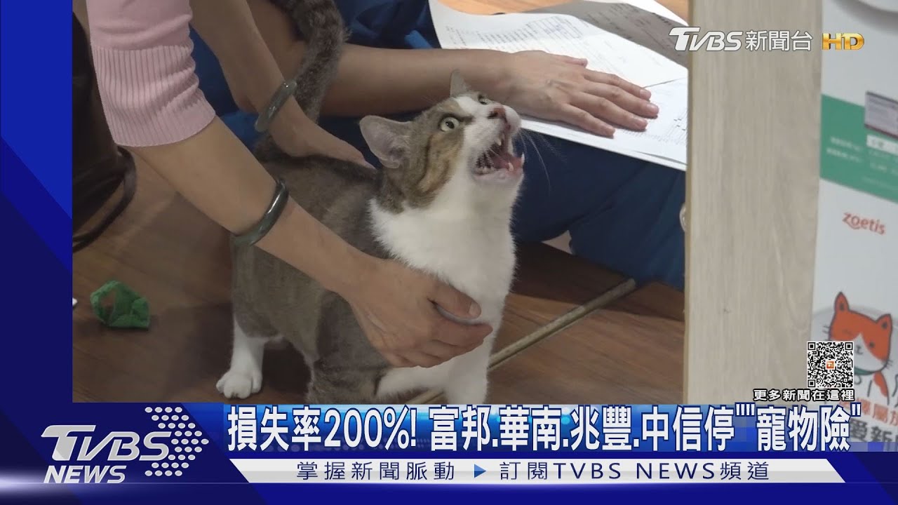 損失率200%!富邦、華南、兆豐、中信停「寵物險」